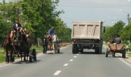 Извозчики были оштрафованы на две тысячи леев.