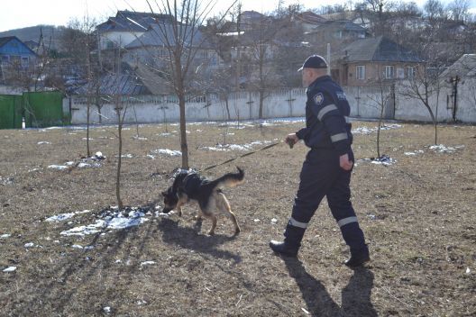 Un hoţ din oraşul Hânceşti, a fost reţinut pe urme fierbinţi de câinele poliţist. Foto: tv7.md