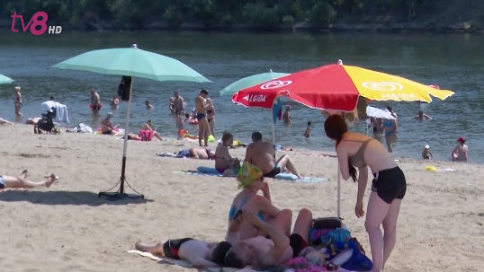 В НАОЗ опровергли заявление Гылкэ о холерном вибрионе в Вадул-луй-Водэ.