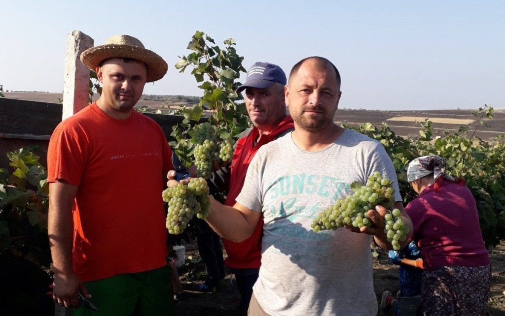 Ион Лупу уехал работать в Германию, чтобы погасить долги.