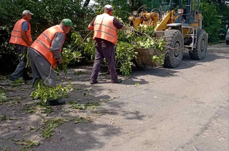 Дорожники убирают с трасс Молдовы поваленные ураганом деревья.