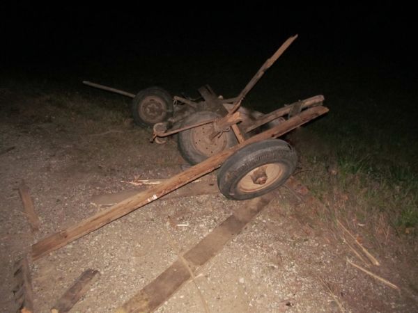 Водитель повозки отделался незначительными травмами.
