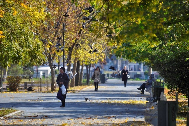 Astăzi vremea va fi răcoroasă în toată țara, îndeosebi dimineaţa.