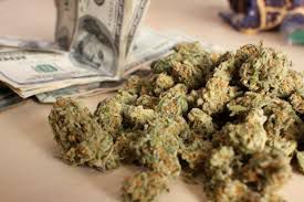 Au fost sechestrate aproximativ 50 de kilograme de marijuana și 300 de grame de hașiș. Foto: cryptocoinsnews.com