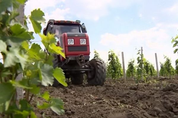 Беларусь позволила сохраниться многим экономическим агентам из автономии. 