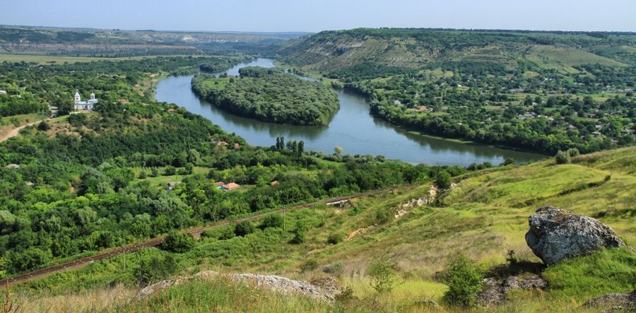 Экологическая партия зелёных: Леса Молдовы безжалостно расхищаются