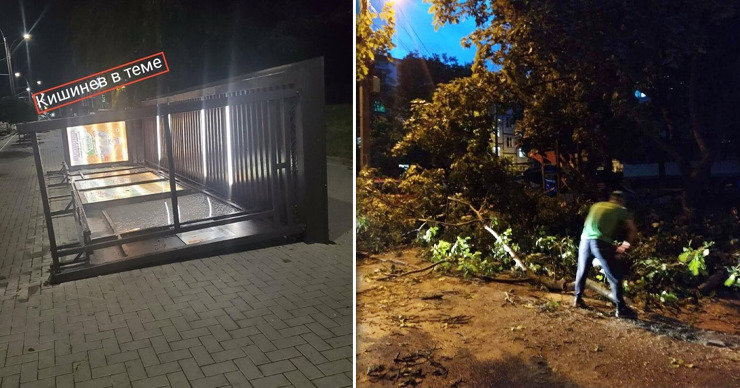 Непогода в Молдове: повалена остановка транспорта и десятки деревьев. Коллаж: Point.md.