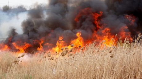 Serviciul Meteorologic de Stat a emis un avertisment de cod galben pe întreg teritoriul țării. Foto: timpul.md