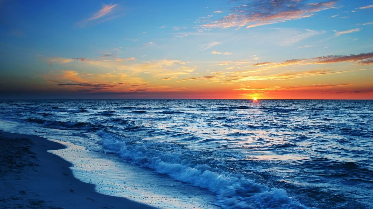 Ученые нашли 200 тысяч различных групп вирусов в мировом океане.