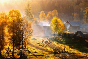 Prognoza meteo pentru 1 septembrie. Foto: agero-stuttgart.de