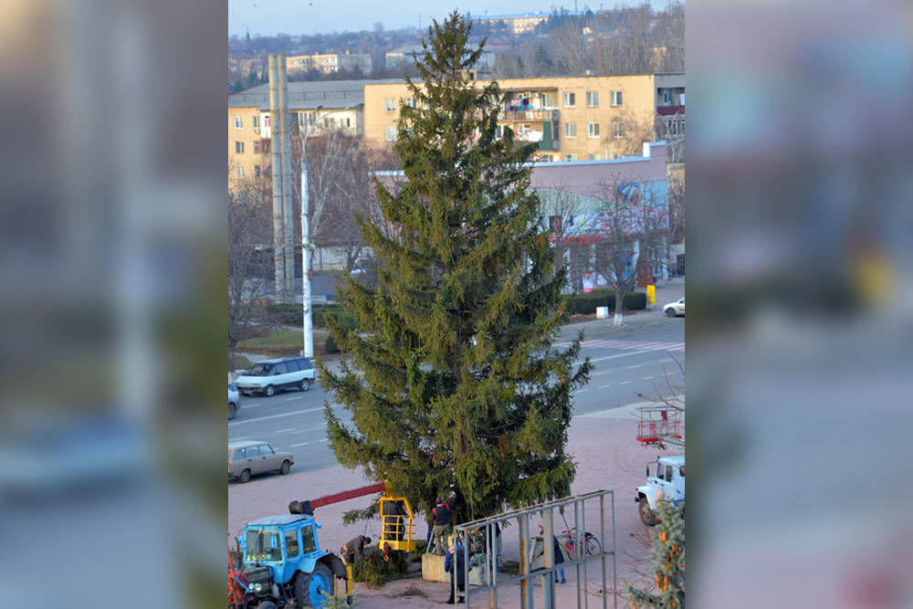 На главной площади Дубоссар установили новогоднюю ель.