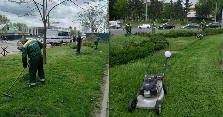 В Кишиневе ведется работа по скашиванию травы в парках, скверах, общественных местах. Коллаж: Point.md.