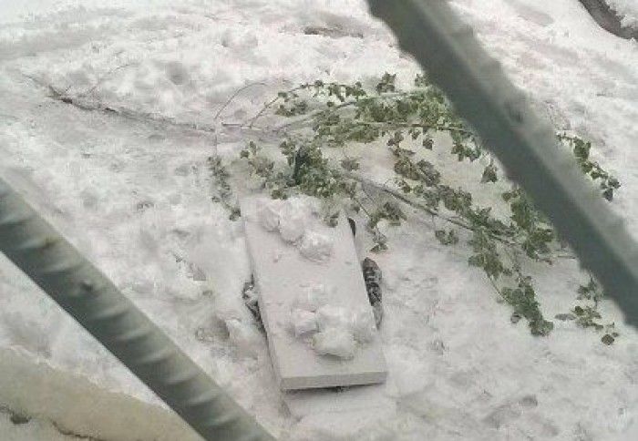 Tragedie în Capitală. Un bărbat, găsit mort pe stradă Foto: martor ocular