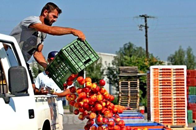 Чтобы ввезти санкционный продукт, нужно обязательно поменять его документы.