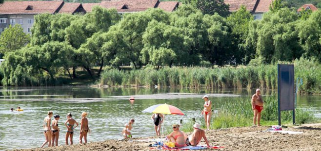 Leptospiroza este considerată cea mai periculoasă maladie de sezon