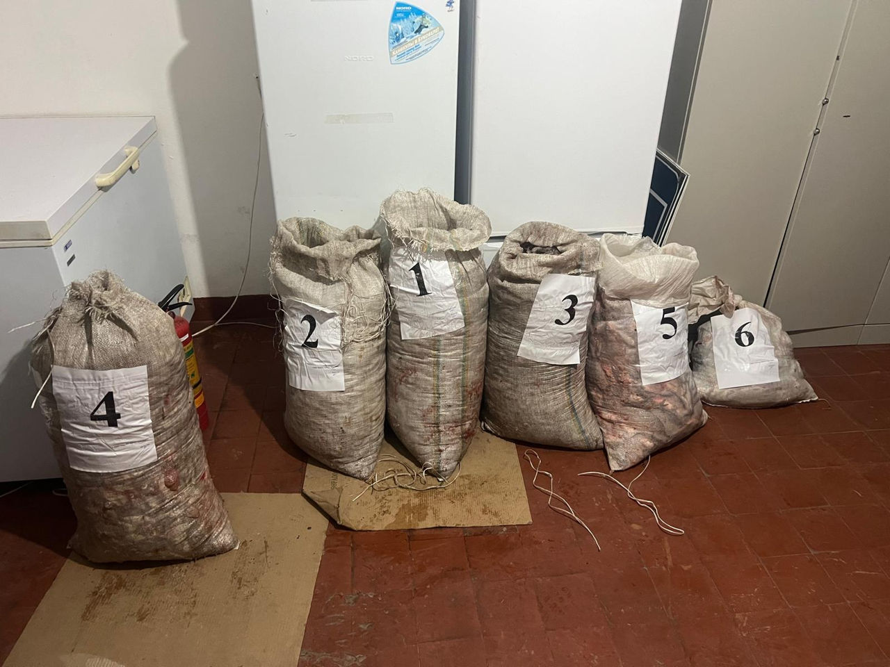 Sute de kilograme de pește transportat ilegal, confiscat.
