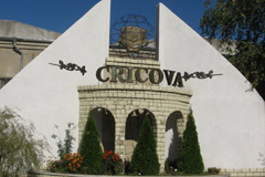 Specialistul a amintit că în prezent „Cricova” exportă vinuri în 26 de ţări din  Europa, Asia, China, Africa şi pe pieţele tradiţionale