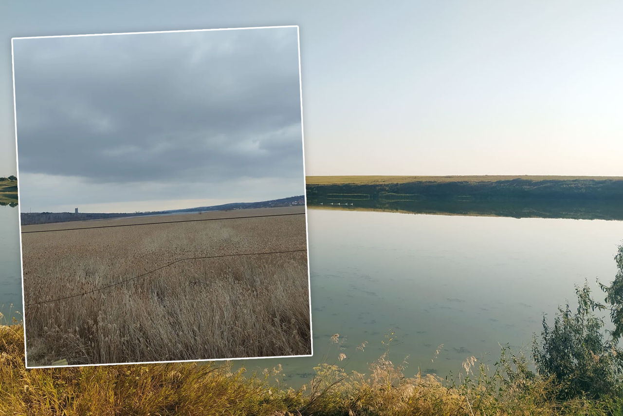 Озеро в Данченах находится на грани катастрофы: понизился уровень воды.