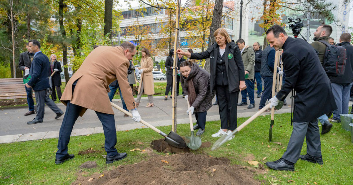 Более 80 деревьев высажено в парке Кафедрального собора.