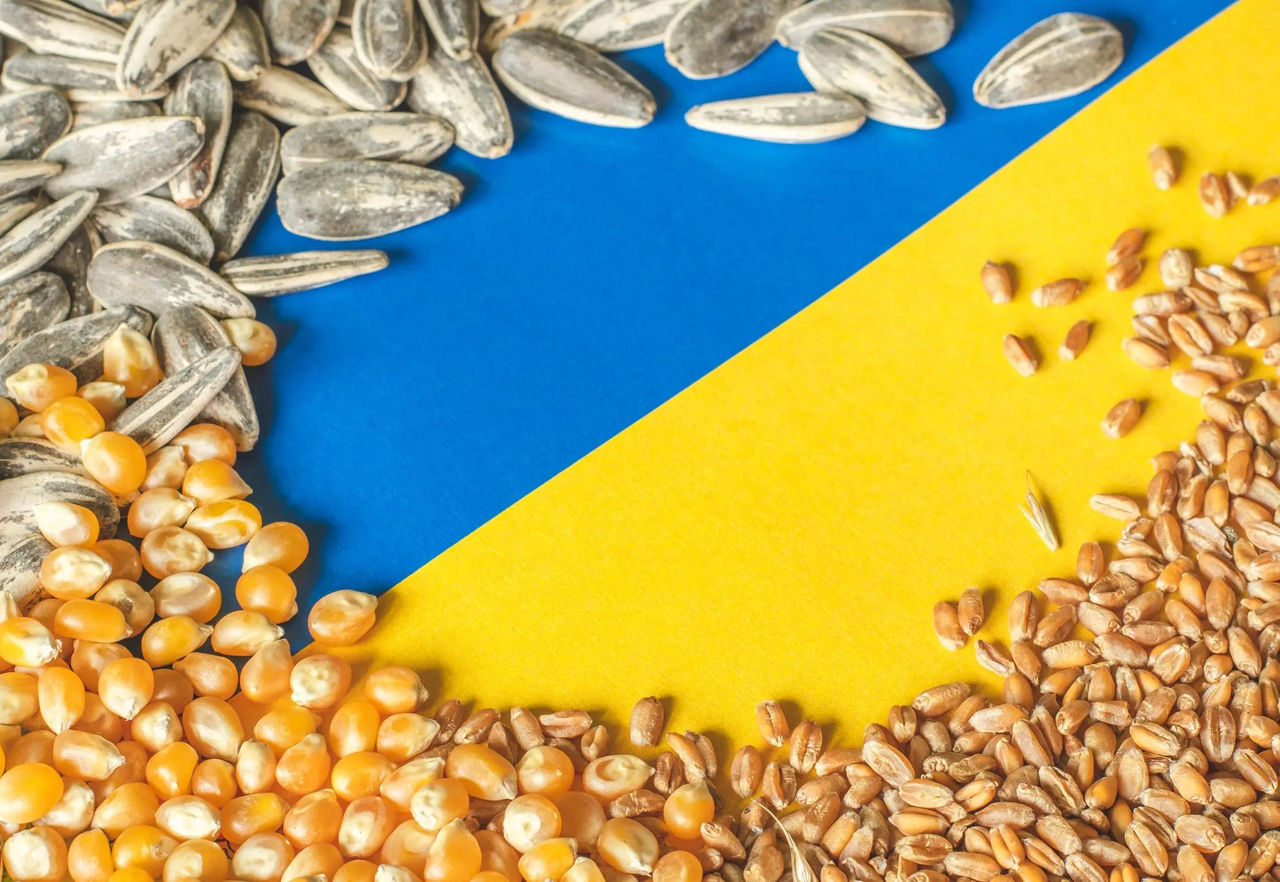 Ministerul Agriculturii prelungeşte licenţierea importurilor de cereale din Ucraina.