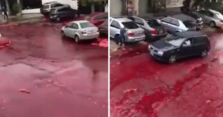 В Аргентине тысячи литров крови разлили на улице.