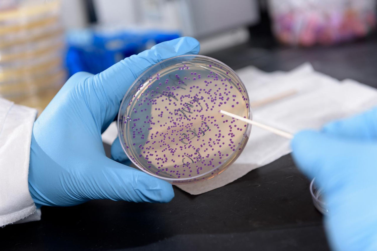 Inteligența artificială a dezvoltat antibiotice capabile să distrugă bacteriile rezistente la medicamente.