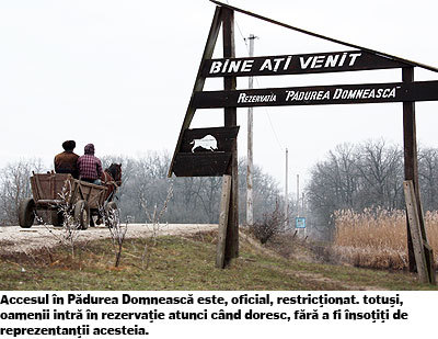 La un an de la tragedia din Pădurea Domnească, autorităţile susţin că pe acolo nu mai calcă picior de vânător, lucru confirmat de majoritatea locuitorilor din zonă.