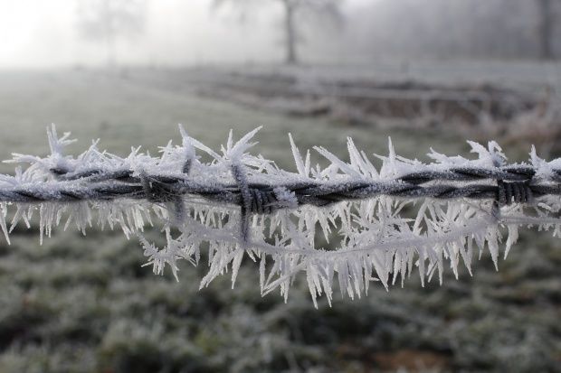 Un val de aer polar aduce în Moldova temperaturi de îngheţ şi ninsori puternice.