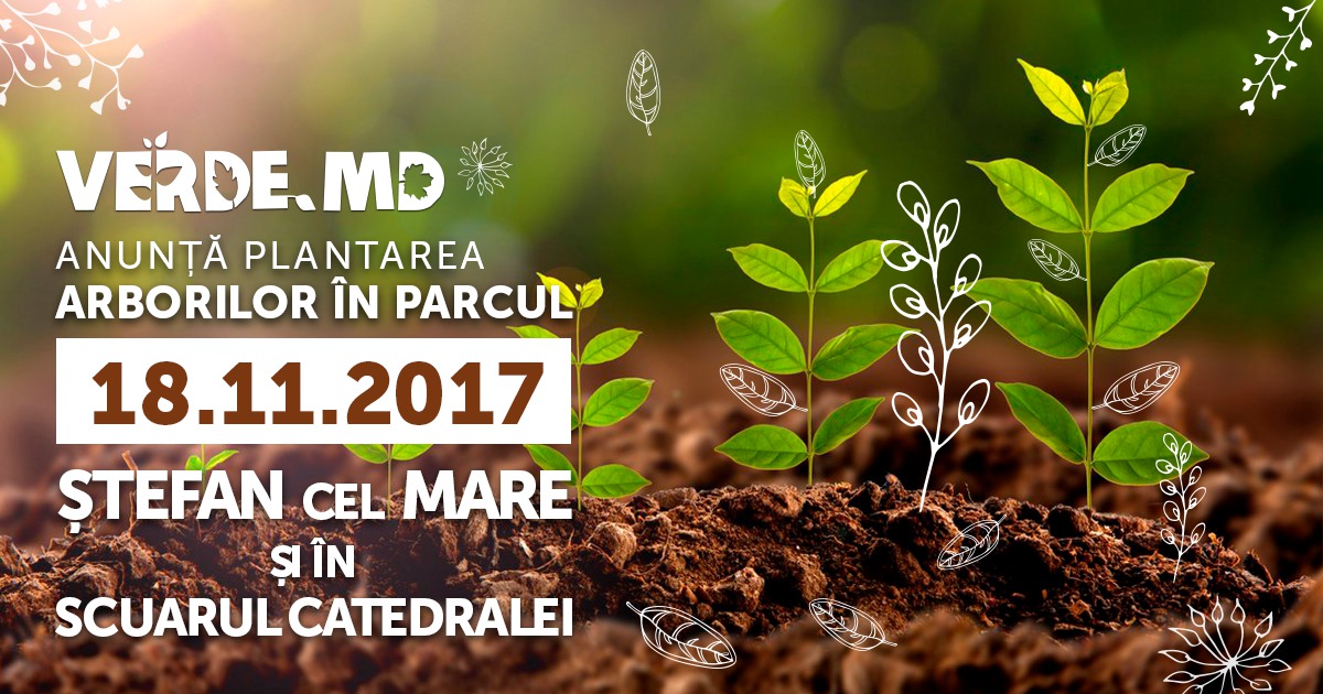 Verde.md: Plantare în parcurile din centrul Capitale pe 18 noiembrie
