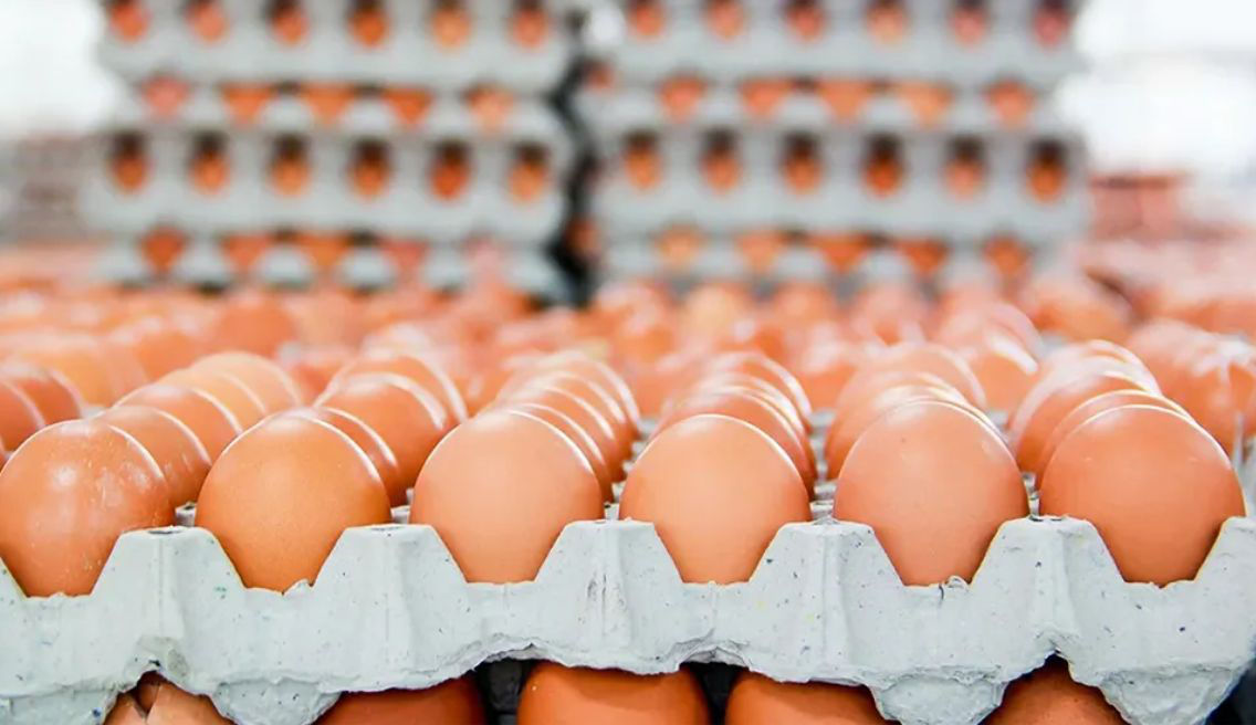 Евросоюз изучает заявку Молдовы на право экспорта мяса птицы и яиц.