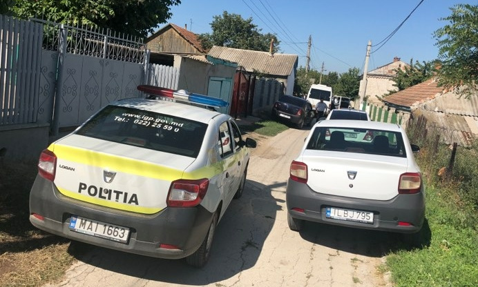 В Милештий Мичь мужчина убил собаку, загрызшую его внучку.