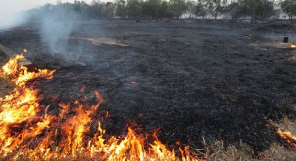 Pompierii avertizează cetățenii în legătură cu un pericol excepțional de incendiu în toată țara, instituit de către Serviciul Hidrometeorologic de Stat.