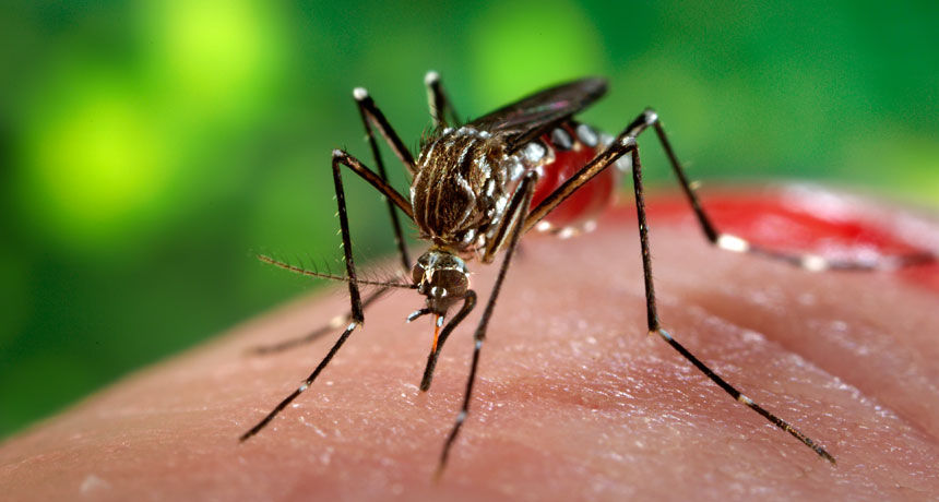 Ministerul Sănătăţii anunţă că a fost confirmat al doilea caz de infectare cu virus Zika a unui cetăţean român în afara ţării.