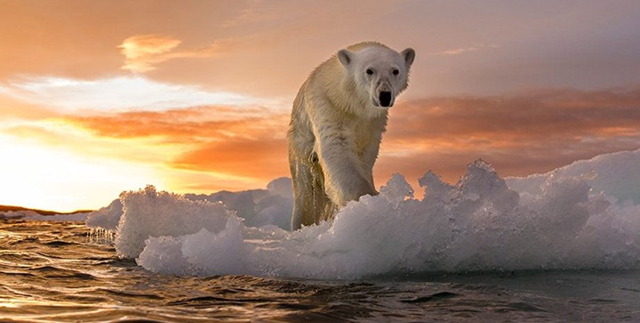 Bloomberg: Обнаружены признаки ускорения глобального потепления.