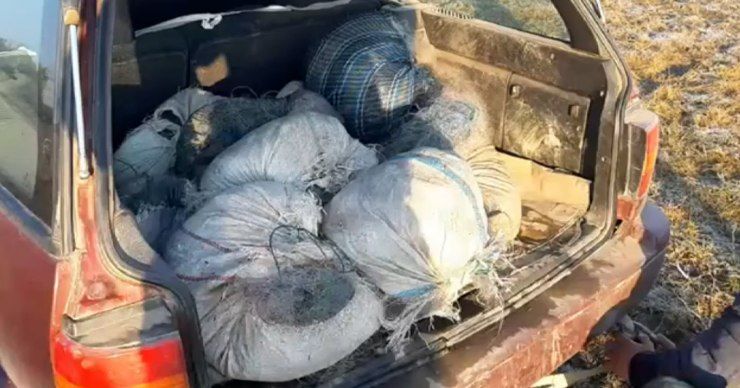 В природном заповеднике Нижний Прут поймали двух браконьеров.