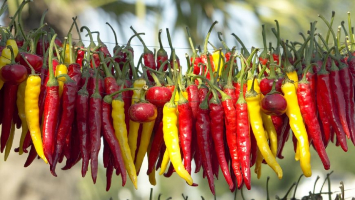 Există alimente precum ardeiul iute care intensifică arderea caloriilor.