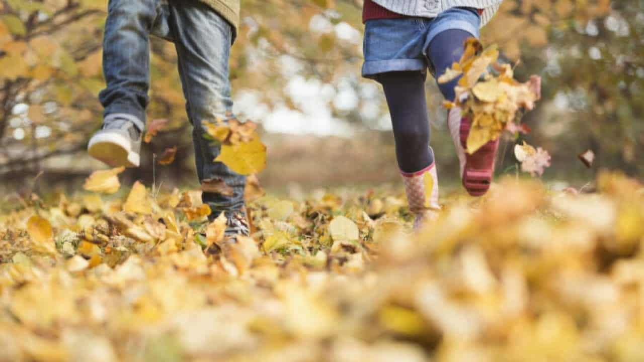 Vacanța de toamnă a început pentru elevi.
