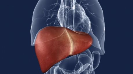 Detoxifierea ficatului a devenit un factor necesar pentru oricine vrea să slăbească. Foto: romaniatv.net
