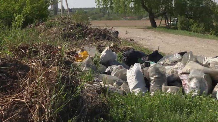 Жители Бельц добиваются вывоза мусора с городского озера.