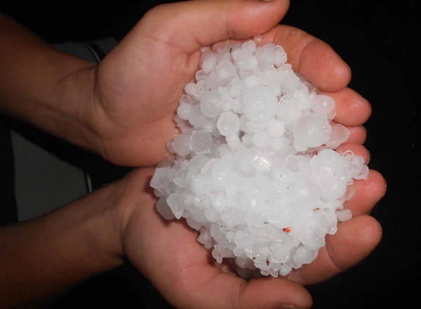 Grindina de cateva minute ce a cazut in satul Petresti, Ungheni, a facut prapad. Localnicii afirma ca piatra le-a distrus ce aveau prin gradina.