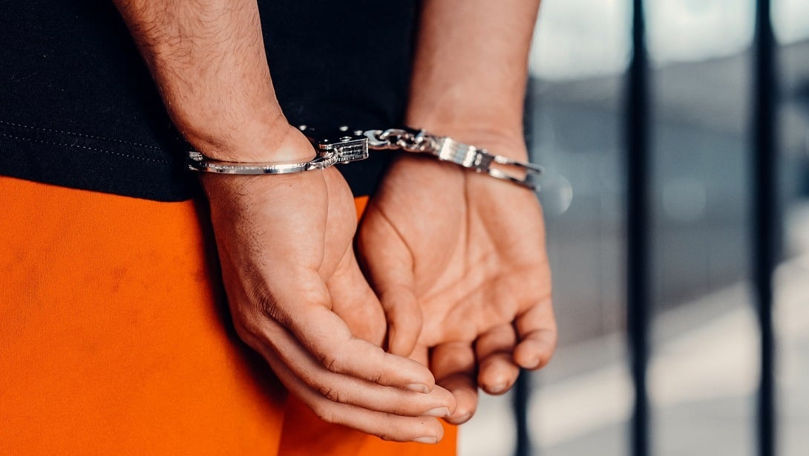 Un moldovean condamnat pentru violență domestică, reținut la vama românească pe baza unei alerte Interpol.