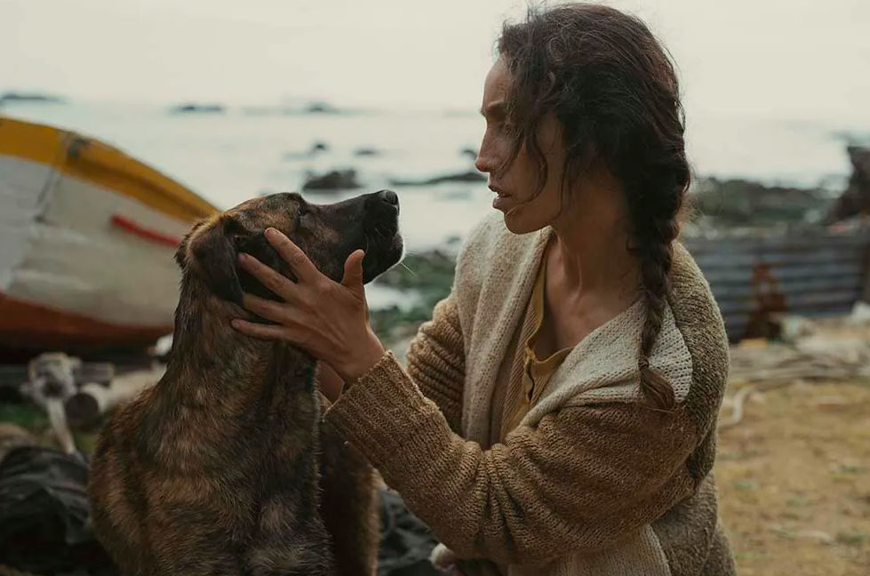 La Festivalul de Film de la Cannes a fost decernat premiul pentru cel mai bun rol canin.