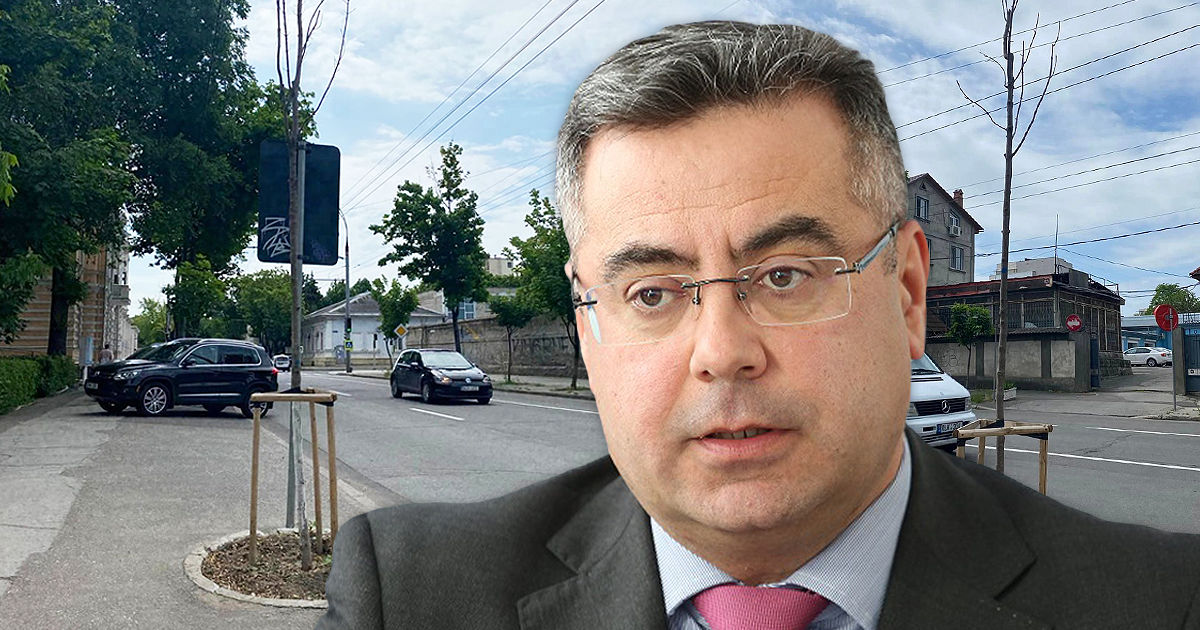 Кашу прокомментировал ситуацию с зелёными насаждениями в столице. Коллаж: Point.md.