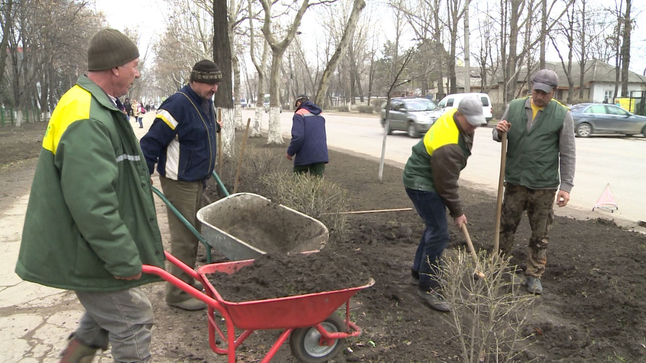 В Бельцах началась генеральная уборка города.