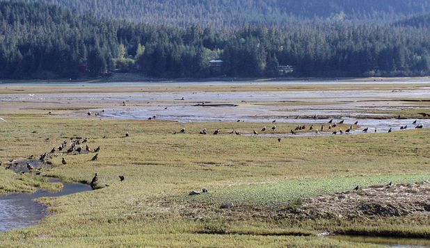 Cel mai vechi mormânt al unui prinţ scit a fost descoperit în Siberia.