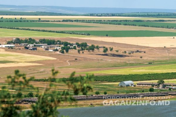 Общая площадь пастбищ Гагаузии составила 17 тысяч 138 гектар.