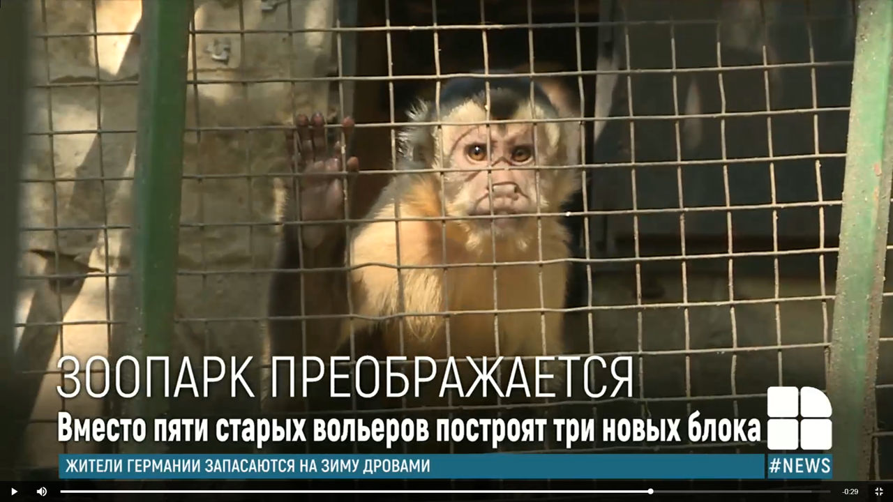 Кишиневский зоопарк модернизируется.