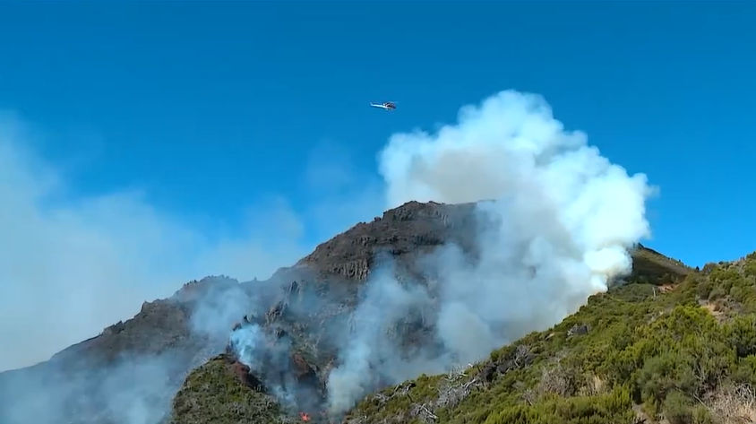 Un incendiu de pe insula Madeira a distrus într-o săptămână 14% din păduri. 