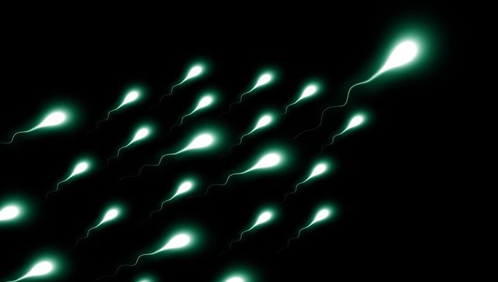 Ученые обнаружили 27 опасных вирусов в мужской сперме.