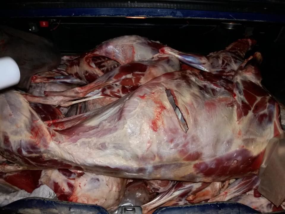 Опасные мясо и рыбу намеревались продать на Центральном рынке Кишинева.